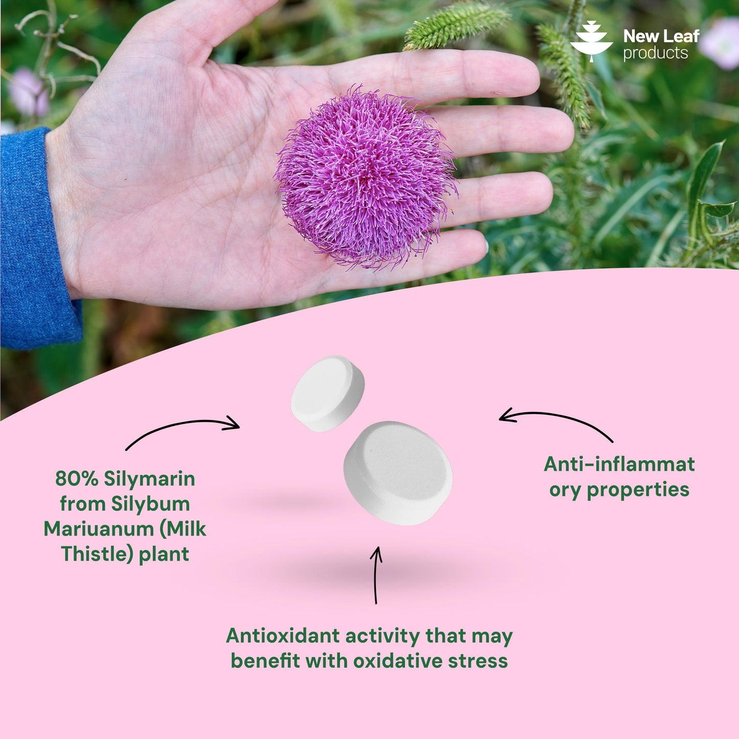 Milk Thistle Tablets 365 Fill