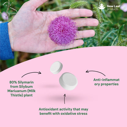Milk Thistle Tablets 365 Fill
