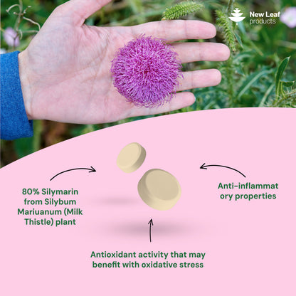 Milk Thistle | 365 Tablets