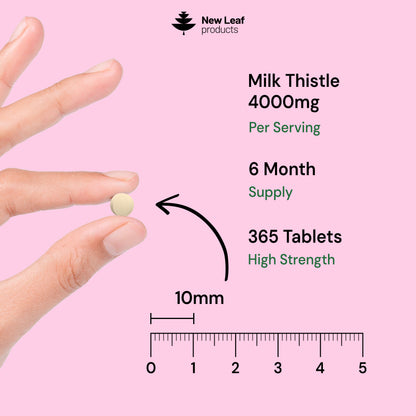 Milk Thistle | 365 Tablets