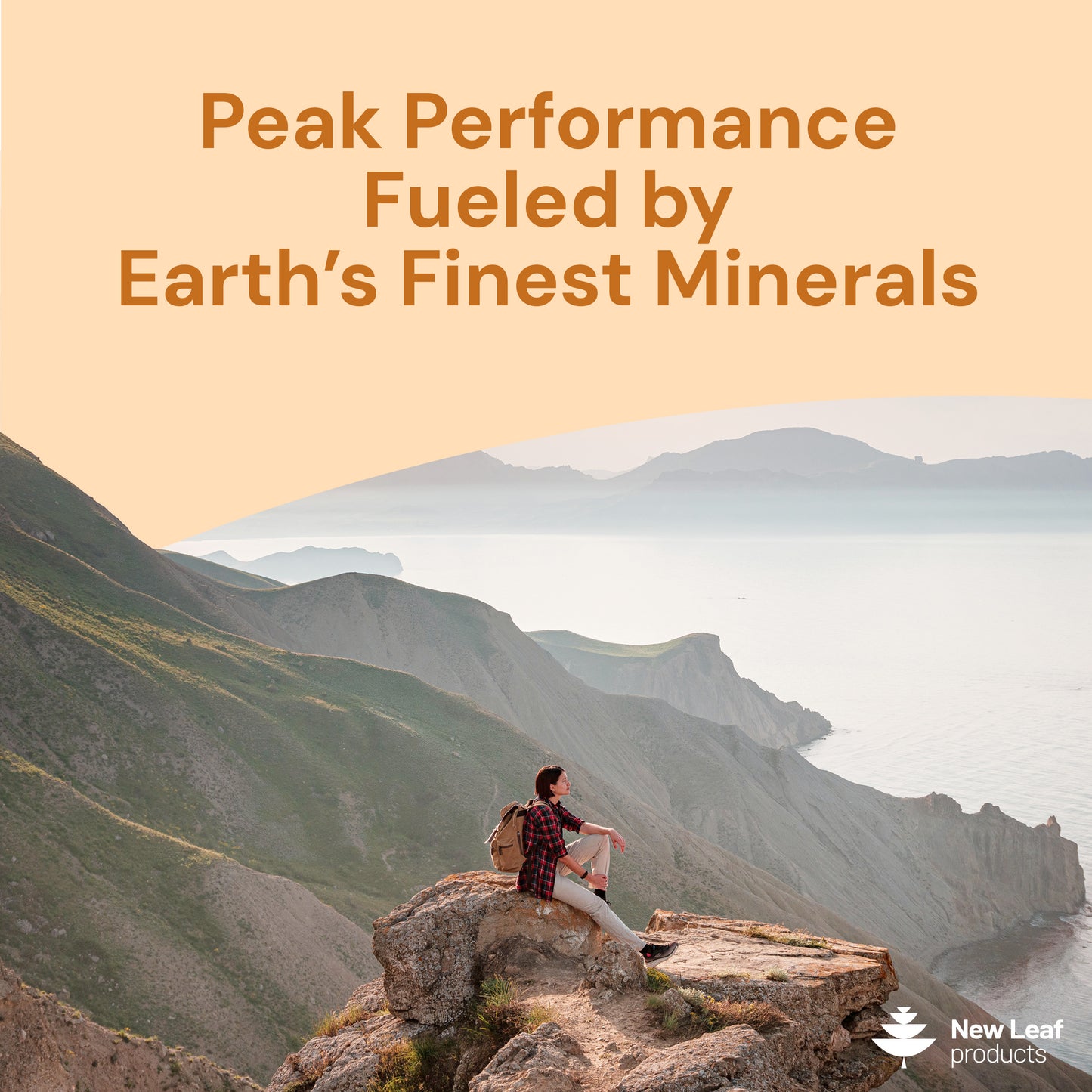 Shilajit, Sea Moss, Lion's Mane Capsules