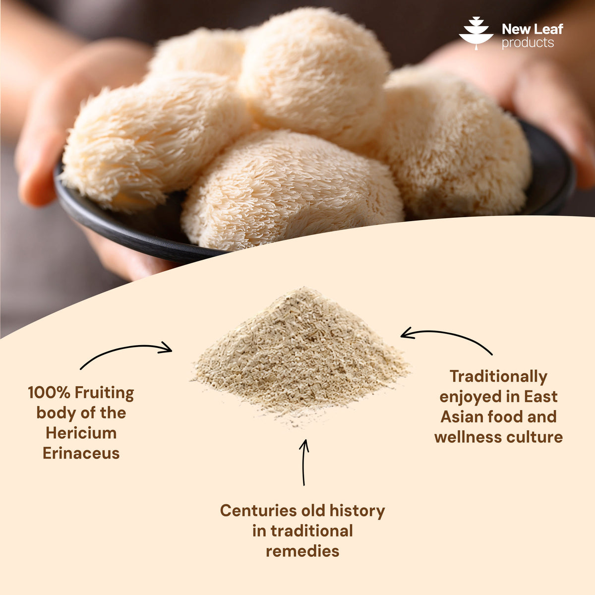 Lion's Mane | 150g Powder