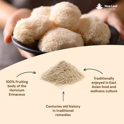 Lion's Mane | 150g Powder