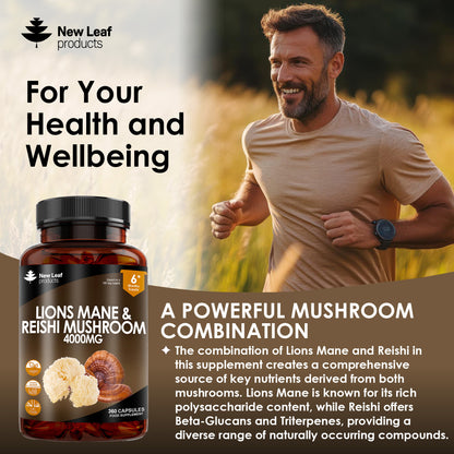 Lion's Mane & Reishi Mushroom | 360 Capsules