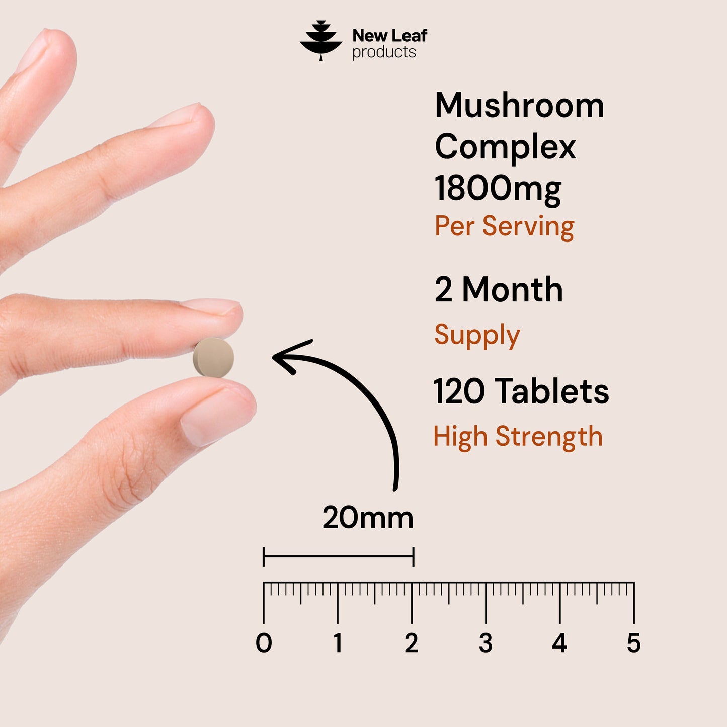 Mushroom Superblend Complex Tablets