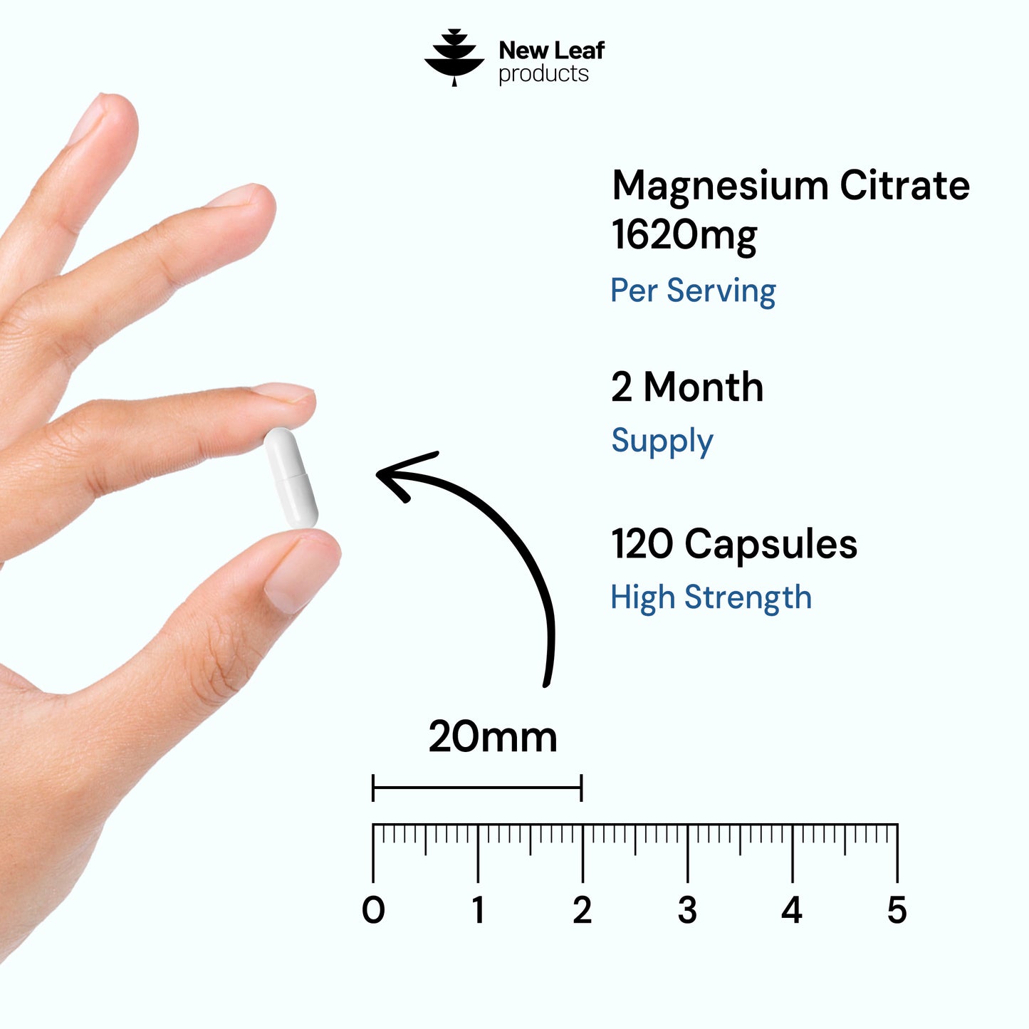 Magnesium Citrate | 120 Capsules