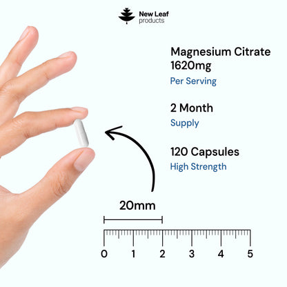 Magnesium Citrate | 120 Capsules