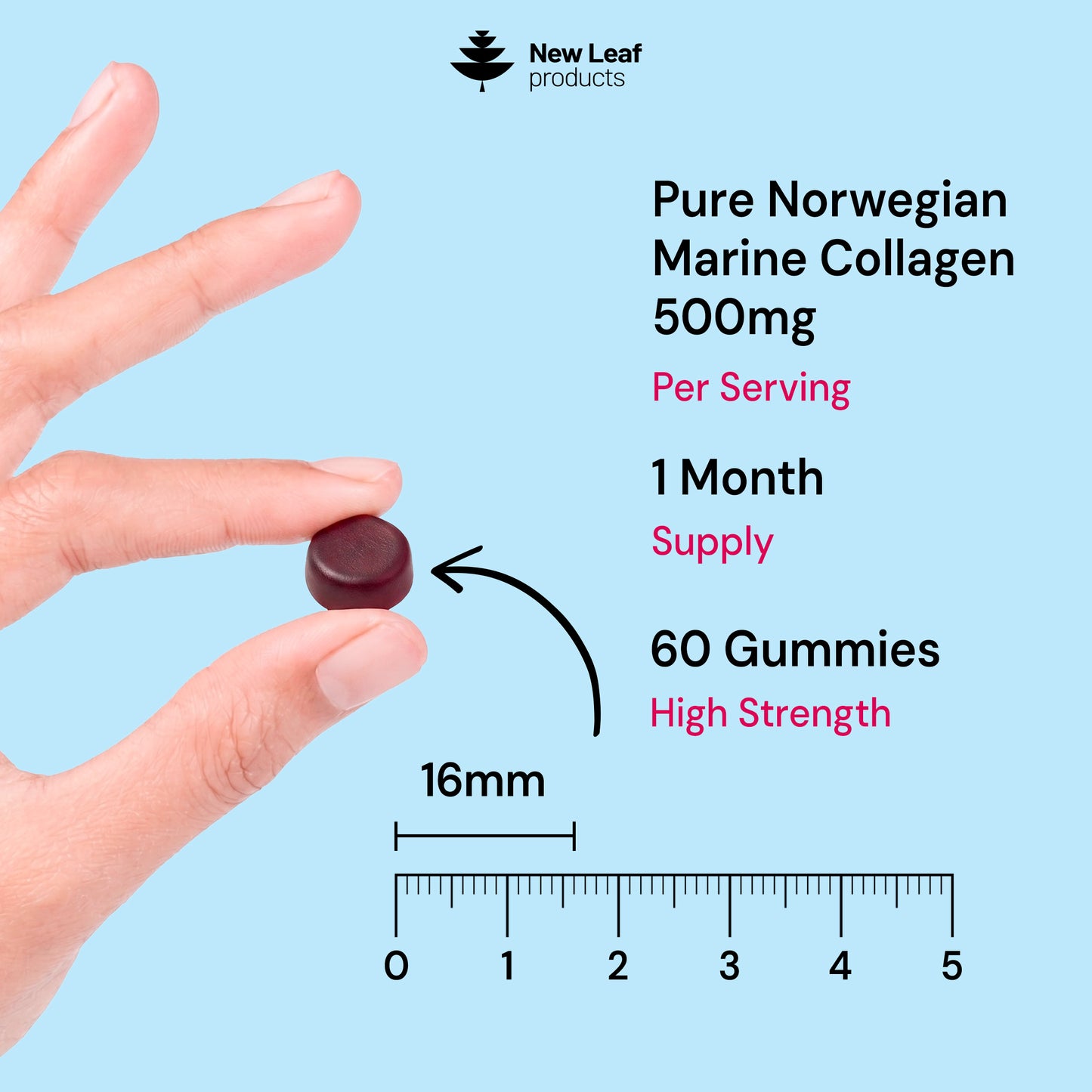 Marine Collagen + Vitamin C, Folic Acid & Biotin | 60 Gummies