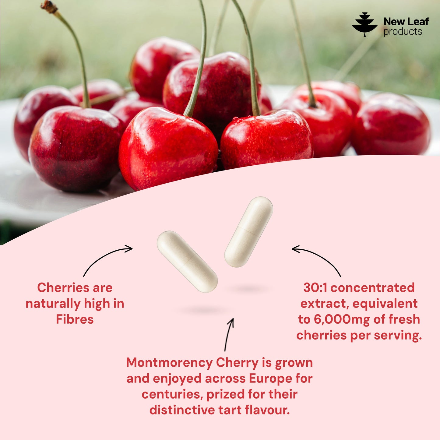 Montmorency Cherry | 360 Capsules