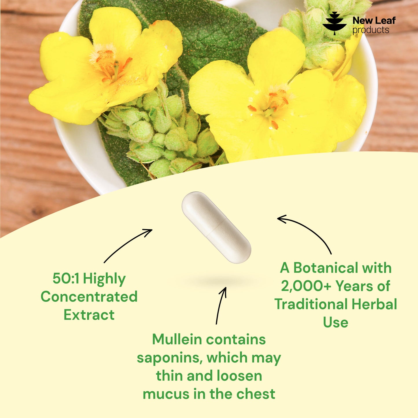 Mullein Leaf Capsules