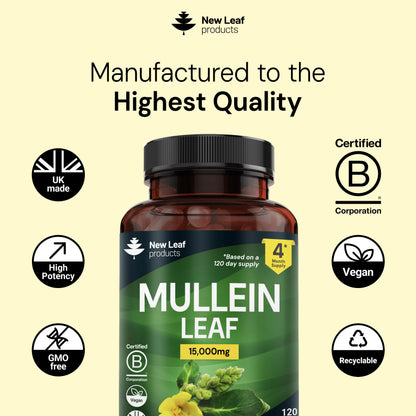 Mullein Leaf Capsules