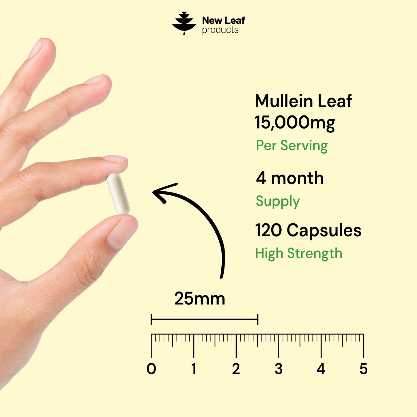 Mullein Leaf Capsules