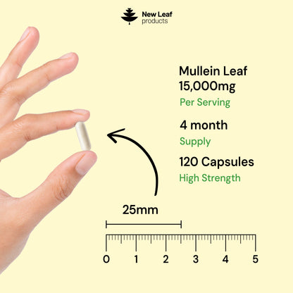 Mullein Leaf Capsules