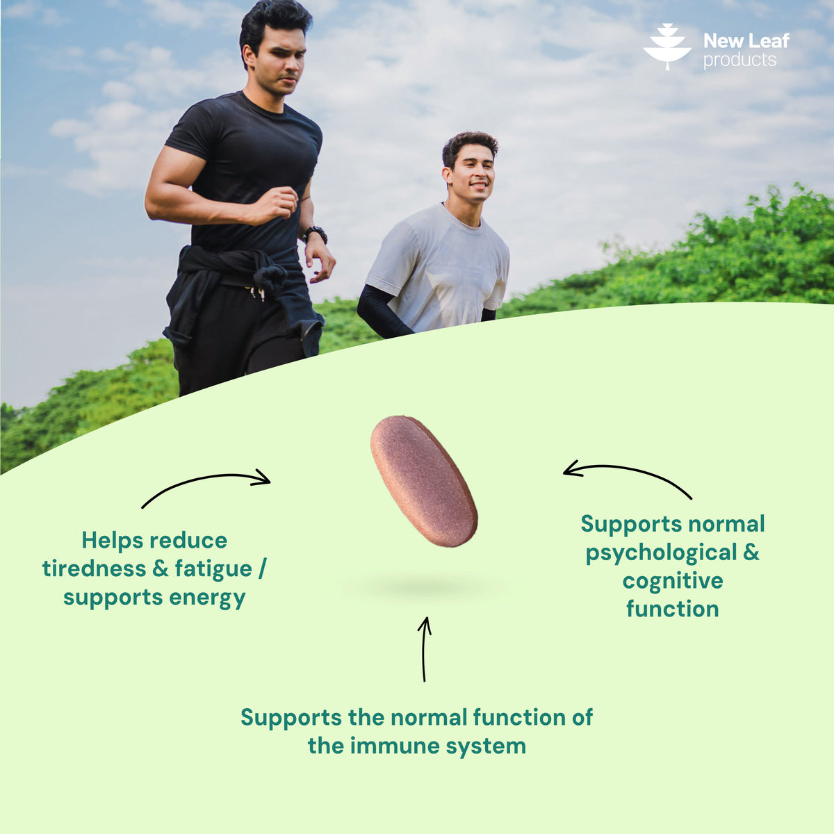 Multivitamin + Essential Minerals | 365 Tablets
