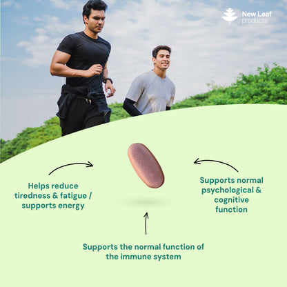 Multivitamin + Essential Minerals | 365 Tablets