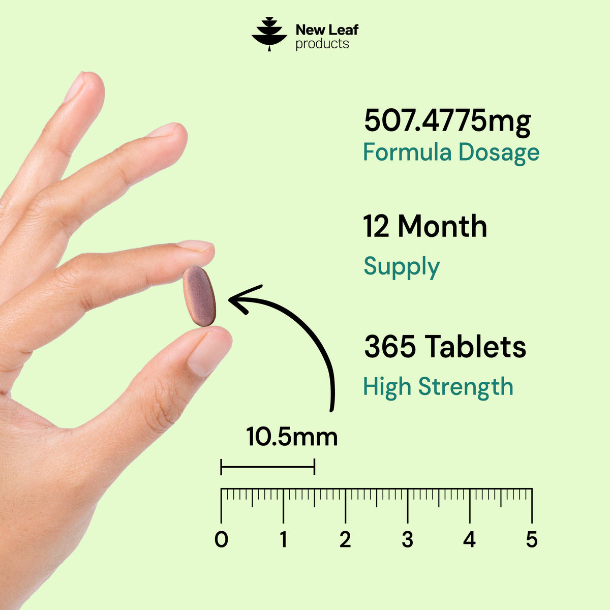 Multivitamin + Essential Minerals | 365 Tablets