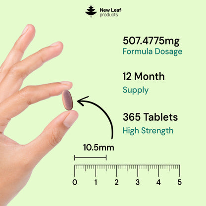 Multivitamin + Essential Minerals | 365 Tablets