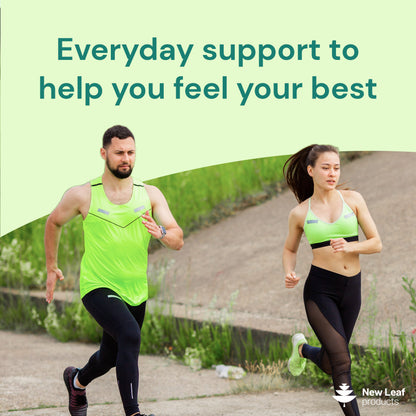 Multivitamin + Essential Minerals | 365 Tablets