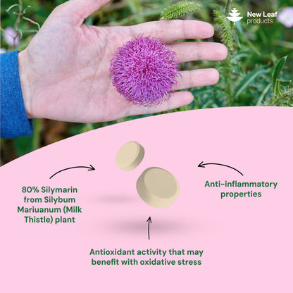 Milk Thistle | 120 Tablets