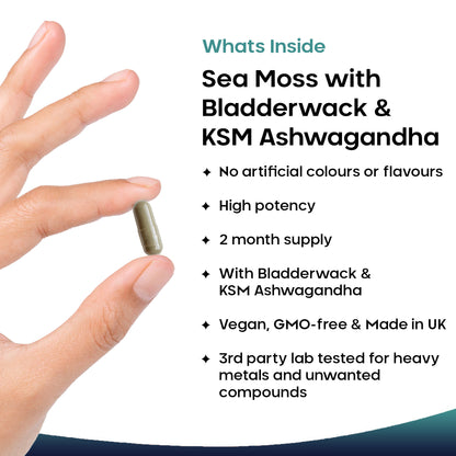 Sea Moss Complex - Irish Sea Moss + Bladderwrack & KSM Ashwagandha 120 Vegan Capsules