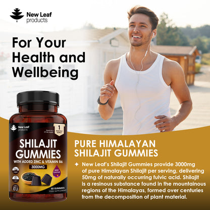 Shilajit Gummies With Zinc and Vitamin B6 Supplements