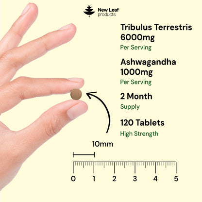 Tribulus Terrestris + Ashwagandha | 120 Tablets