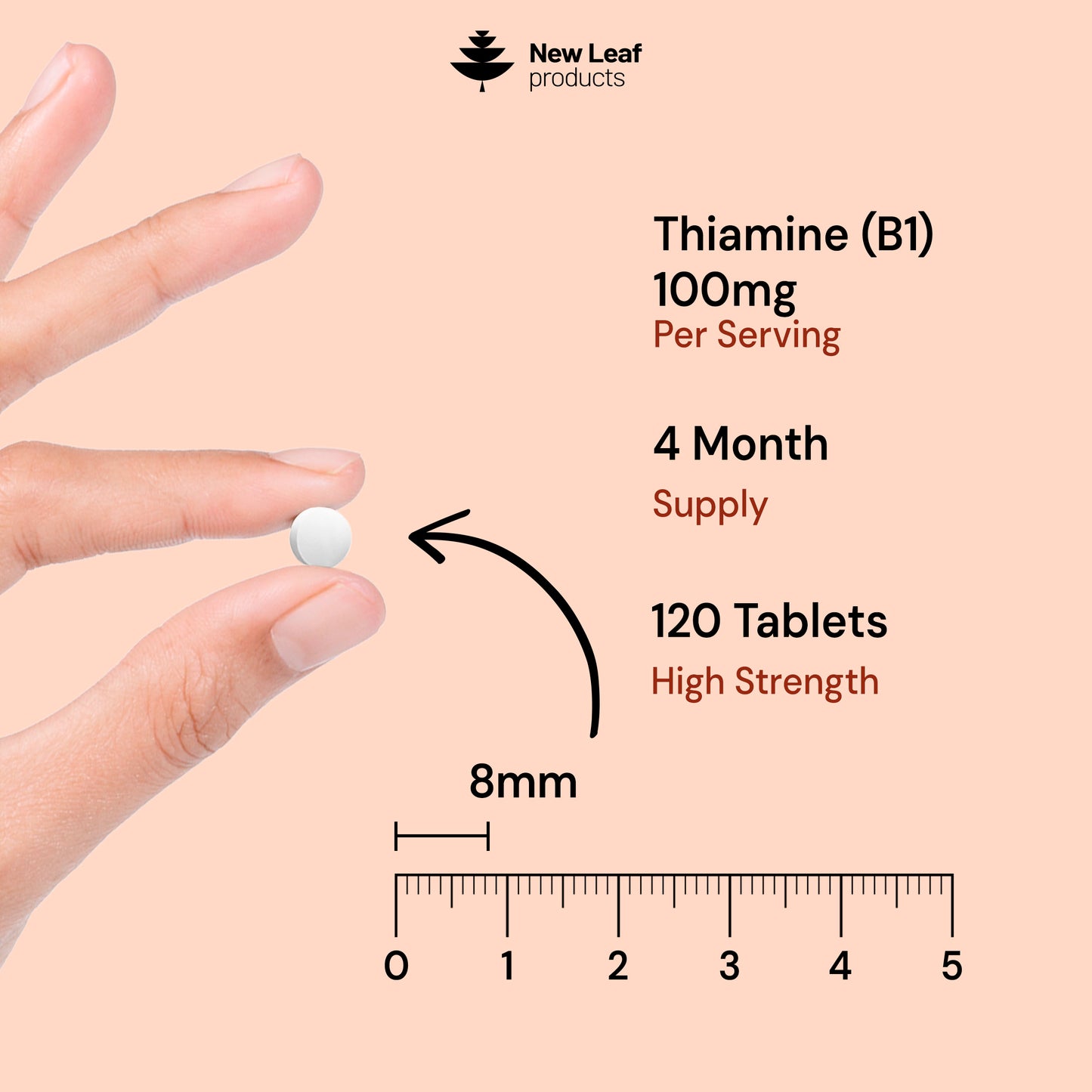 Vitamin B1 | 120 Tablets