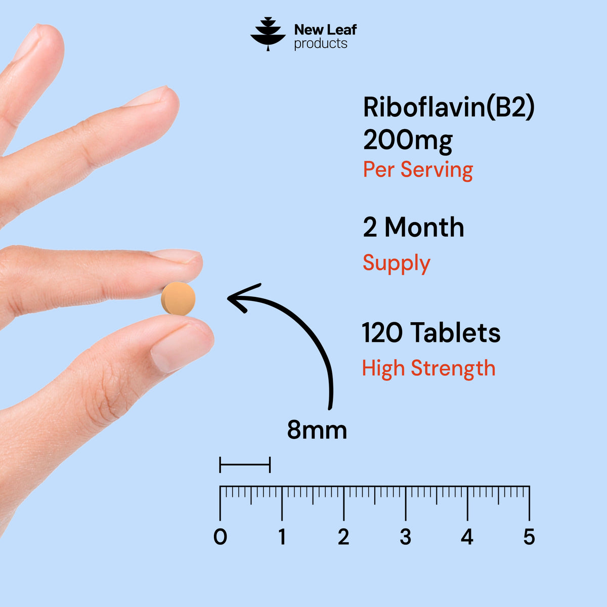 Riboflavin Vitamin B2 | 120 Tablets