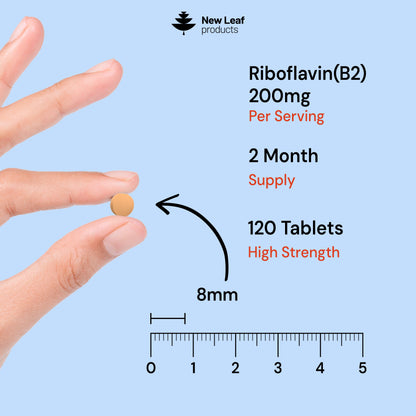 Riboflavin Vitamin B2 | 120 Tablets