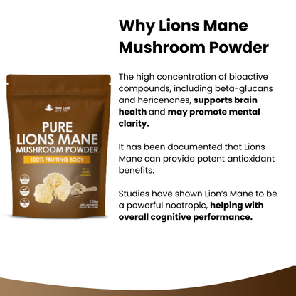 Lion's Mane Mushroom High Strength Supplement Powder