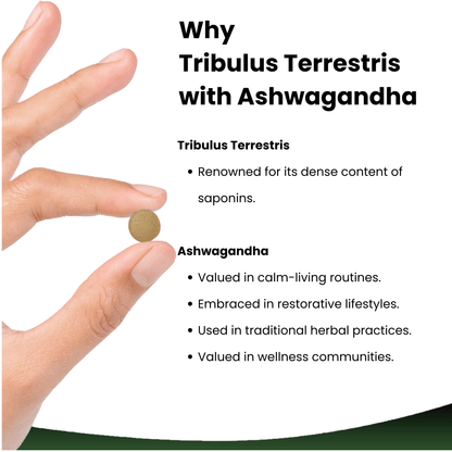Tribulus Terrestris with Ashwagandha Tablets